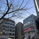 김포족발 | [김포 사우동]사우동 맛집 착한족발 내돈내산 후기