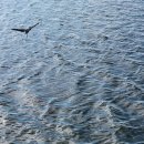 갈맷길(4-3구간) 이미지