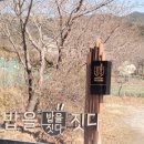 밥을짓다 이미지