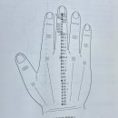 서금요법(수지침)초급 | 독기맥 <고려수지침 서금요법 14기맥학>