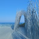 성남동 경로식당 | 강원도 강릉여행 꼭 가봐야 하는 필수 코스