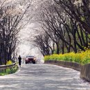 고남저수지 이미지