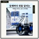 뒷개(후포)마을 해안도로 | 울진 죽변해안스카이레일, 동해바다 가장 가까이서 달려본 진짜 해안 드라이브