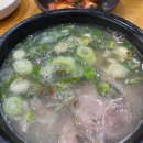 자연 이(e) 래 이미지