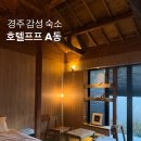 호텔프프