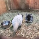 유수정농장 | 수학여행