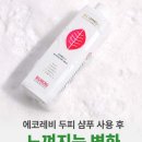 에코레비