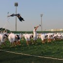 성석 진밭 두레패 이미지