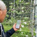 스마트폰사진활용 이미지