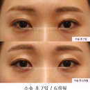 강남서연성형외과의원 이미지