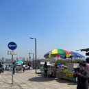 도화소어린이공원화장실 이미지