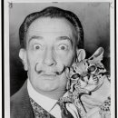 나만고양이없어 이미지