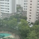 옹암농장 | BAS대용량 탈취제 가성비 끝판왕 집안냄새제거 고민 끝! 대용량 탈취제 솔직 사용 후기