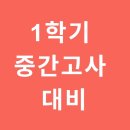 푸른솔중학교 이미지