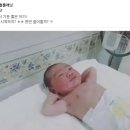 기분좋은차