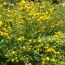 명지바람 이미지