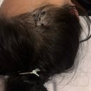 미영목장2 | 4박5일 제주도 여행 (북카페, 산방산탄산온천, 갈치조림, 산방산유채꽃, 목장카페, 고등어회, 올레시장)