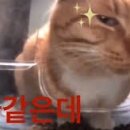 보영민박 네이버블로그