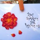 시동유정낚시터 이미지