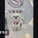 나에개로