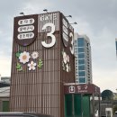 헤어리치 | W15. 양재 꽃시장 헤어변형 생화 내돈내산 구입 후기 (Feat. 리치플라워)