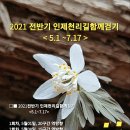 인제17-1 이미지