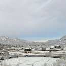 첫눈과 콩나물 이미지