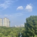 무지개대림(아) 경로당 | 일상(압축됨)