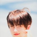 엔젤퍼피 이미지