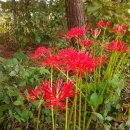 농소운동장 이미지