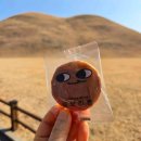 첫마을6단지 B상가 이미지