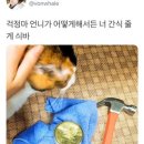 언니PC 이미지