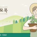 창양농장 네이버블로그