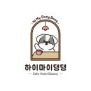 하이마이댕댕 이미지