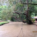 블루라군 이미지