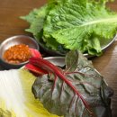 성수식당 | 성수 한식 맛집 채육식당 방문후기