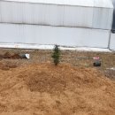 엉클농장 이미지