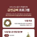 보떼신정