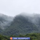 모곡다올타운 이미지