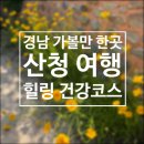 동의약초마을 | 산청 가볼만한곳 동의보감촌 출렁다리 맛집 남사예담촌 여행코스 총정리