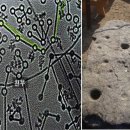 (주)한가위 이미지