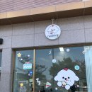 디어마이케이크 | |포항| 반려동물수제간식 디어마이댕 강아지 케이크 생일 파티 후기