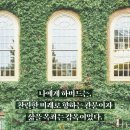 중동079 | 다신 돌아갈 수 없어 아름다운 시절에 대하여…….
