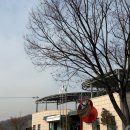 공공하수처리장 옆 이미지