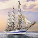 산호가든 이미지