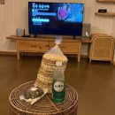 수야담 | 제주 돌담 감성숙소 추천 수야담 태교여행
