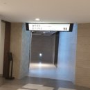 쪼이핸즈