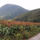 인선공인중개사사무소 이미지