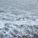 안개3길 | [군산여행] 2일차 신시도자연휴양림 > 이성당 > 한일옥 > 카페틈 > 익산남부시장통닭