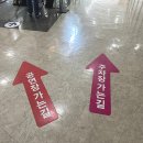 2024 토요키즈클래식 3월 | 용인 포은아트홀 토요키즈클래식 다녀온 후기 및 꿀팁